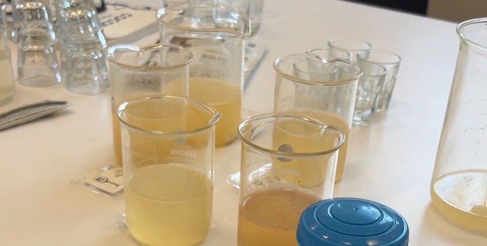 About HYDEE Natural Electrolytes | HYDEE